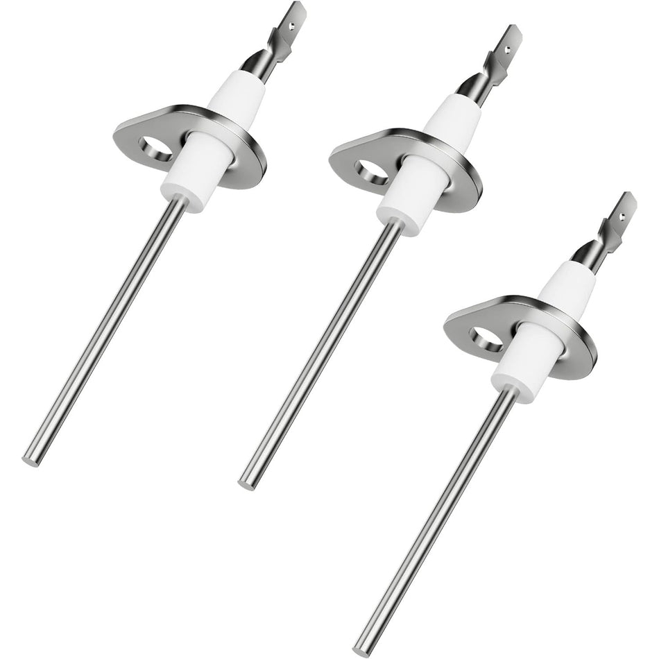 0130F00010 Flame Sensor