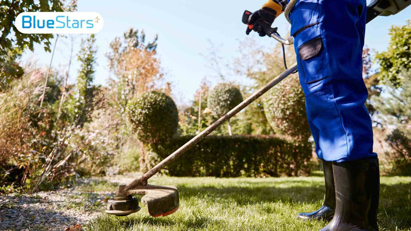 Weed Eater Won’t Start