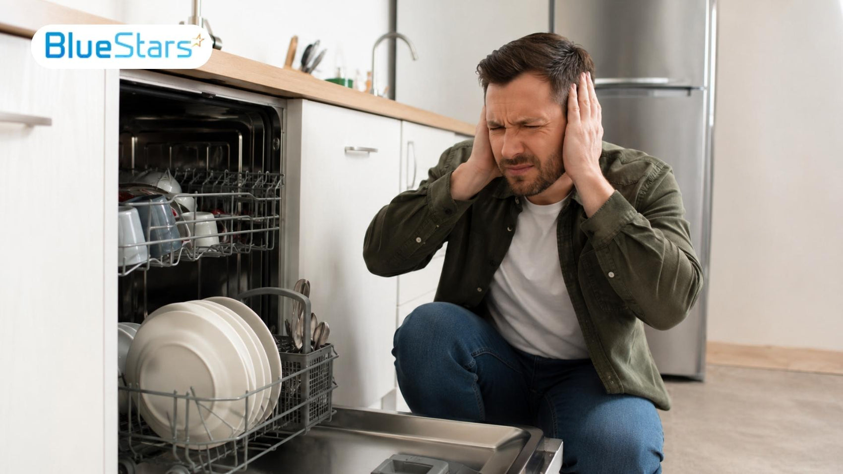 Dishwasher Making a Buzzing Noise? 6 Causes and Fixes 