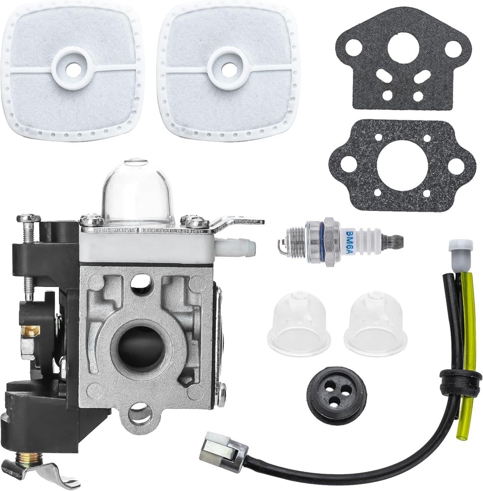 RB-K106 PB250 Carburetor