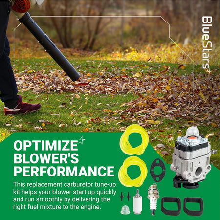 RY25AXB Carburetor Tune-Up Kit graphic showing a leaf blower in use and included carburetor components