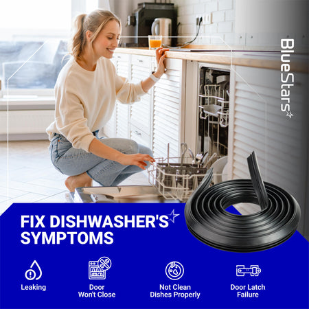 WD08X23476 dishwasher tub gasket door seal replacement coil shown with repair symptoms infographic.
