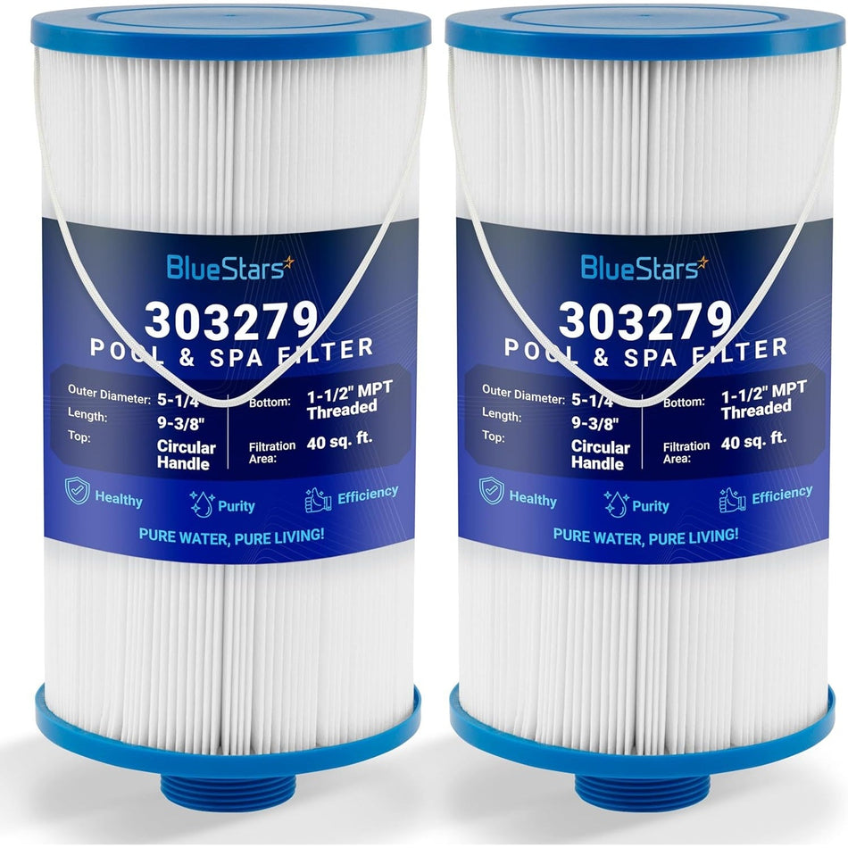 303279 Pool & Spa Filter