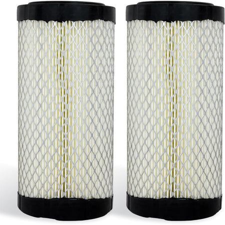 11013-1290 Air Filter, two cylindrical replacement filters shown side by side