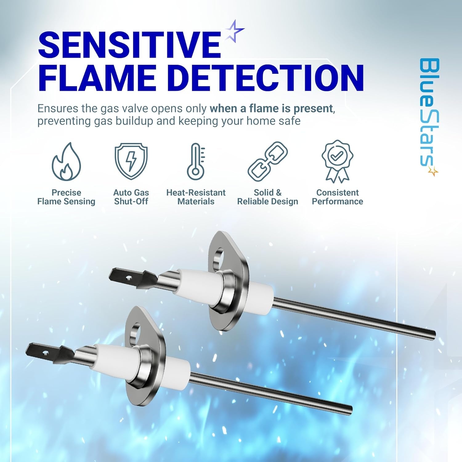 0130F00010 Furnace Flame Sensor (2-Pack)