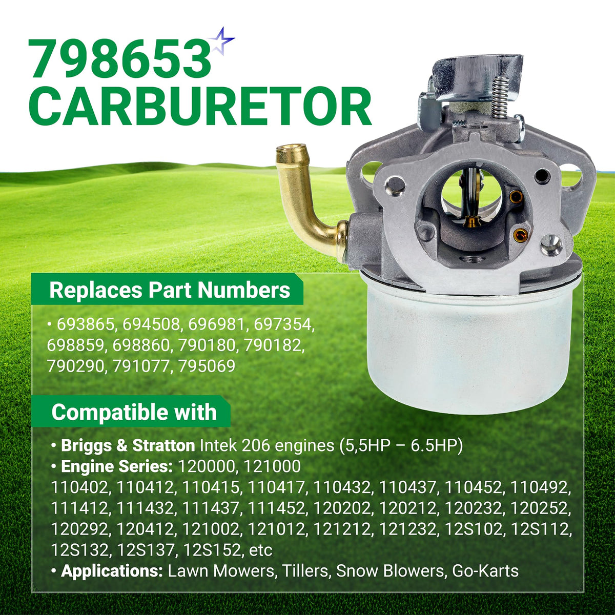 Replacement carburetor for Briggs & Stratton Intek 206 engines shown on informational product graphic.
