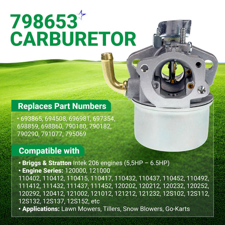 Replacement carburetor for Briggs & Stratton Intek 206 engines shown on informational product graphic.