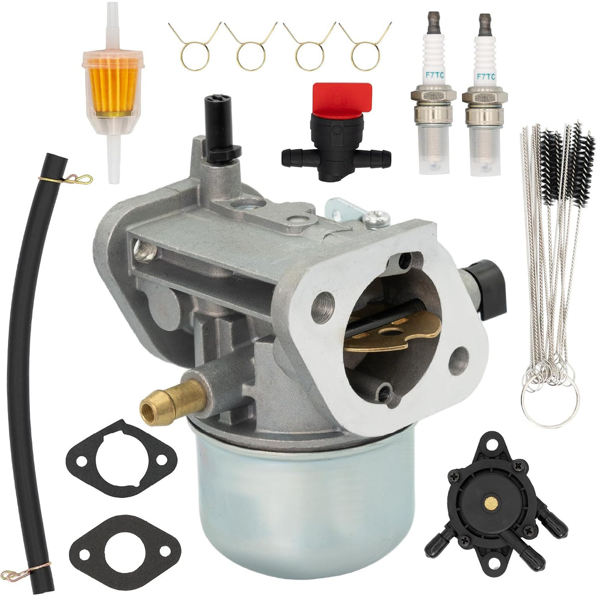 15003-7061 Carburetor, front view with fuel filter, spark plugs, fuel pump, gaskets, springs and cleaning brushes
