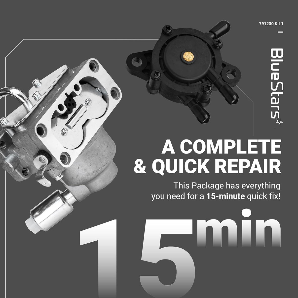 791230 carburetor and fuel pump kit for Briggs & Stratton V-Twin engines.