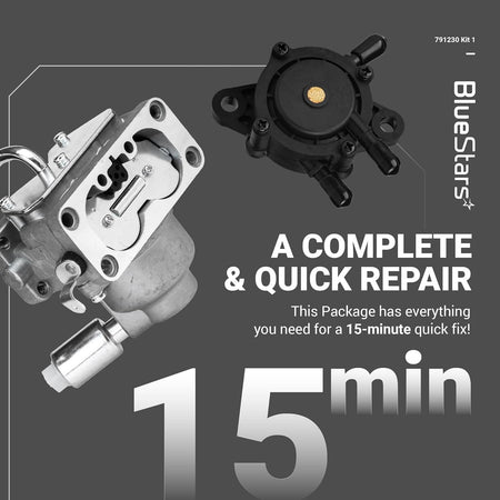 791230 carburetor and fuel pump kit for Briggs & Stratton V-Twin engines.