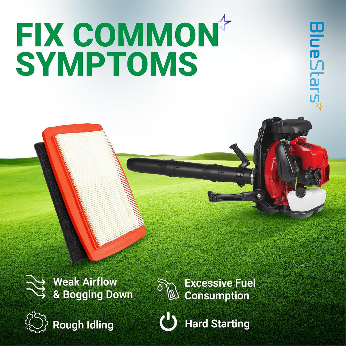 580BTS Air Filter Fuel Line Kit, air filter and RedMax blower with common symptoms listed
