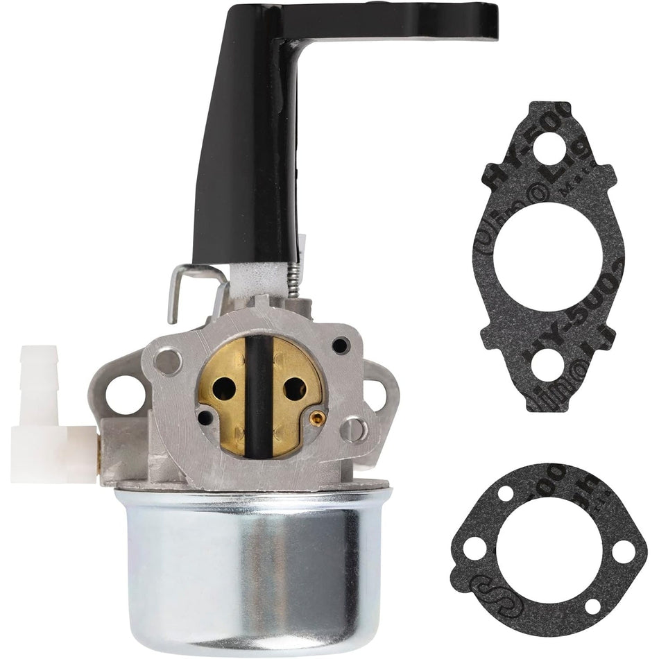 696065 697422 Carburetor with Mounting Gaskets Kit