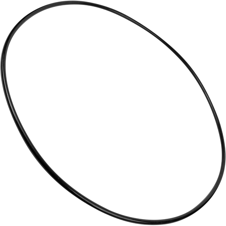 R0357800 Tank Oring Replacement for Zodiac Pool and Spa Filters