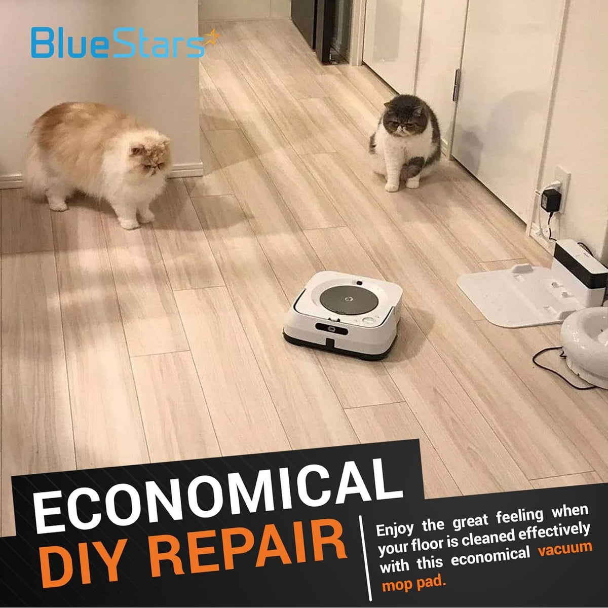 iRobot Braava Jet M6 robot mop cleaning a floor with two cats nearby.