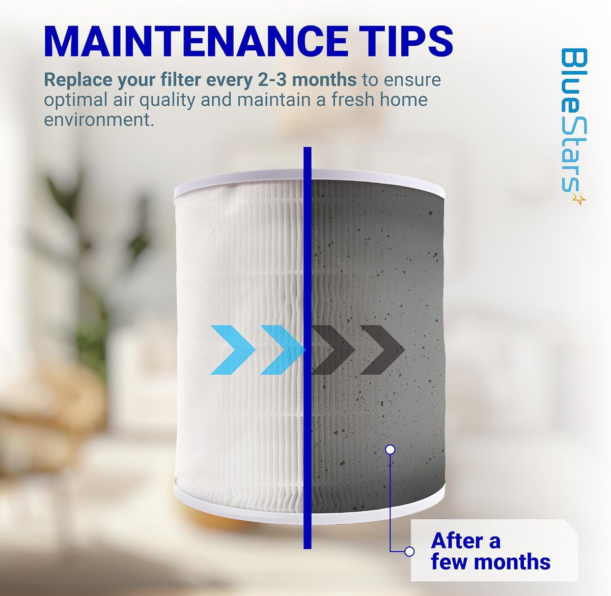 Maintenance infographic showing a clean versus dirty Core 400S air purifier filter to illustrate replacement timing.