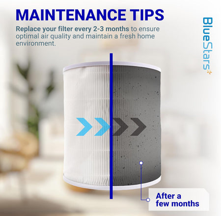 Maintenance infographic showing a clean versus dirty Core 400S air purifier filter to illustrate replacement timing.
