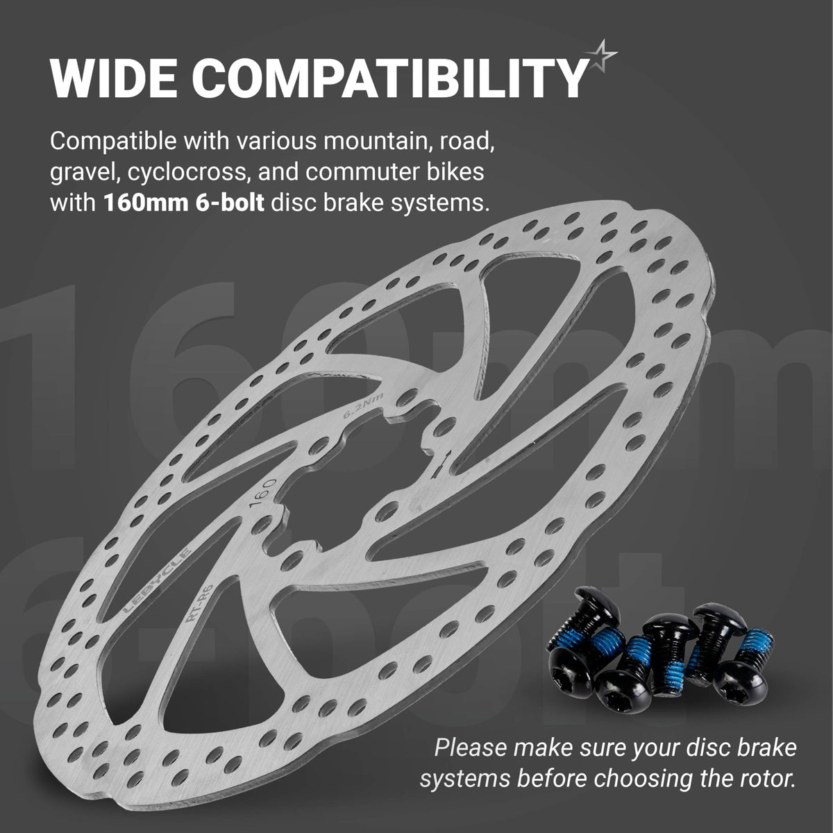 160mm stainless steel bike disc brake rotor with six mounting bolts for mountain and road bikes.