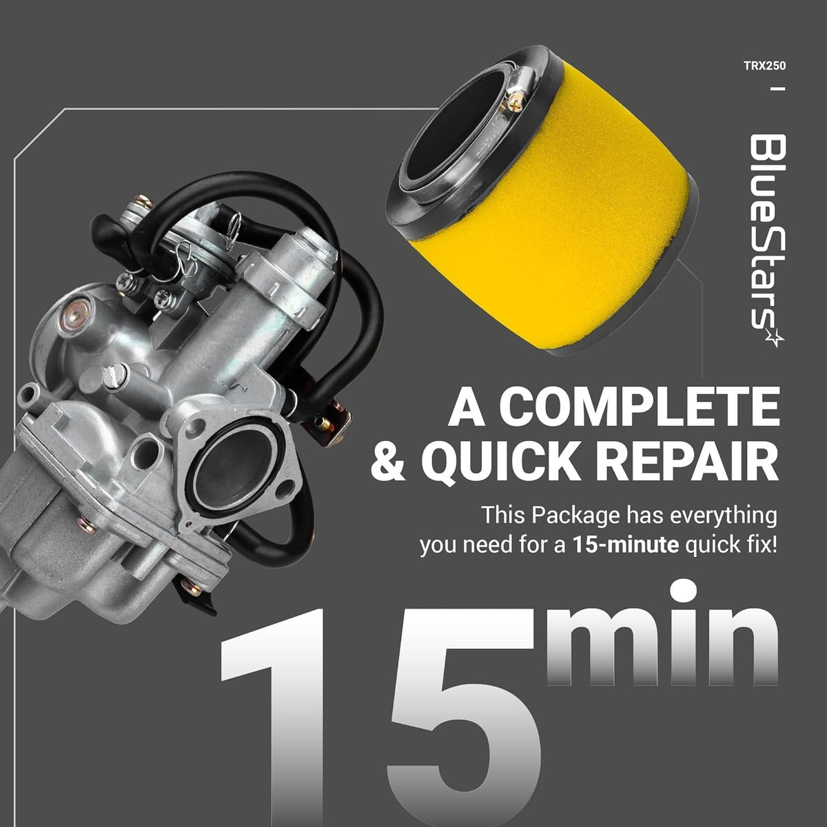TRX250 carburetor and air filter kit for Honda TRX 250 Recon ATV repair.