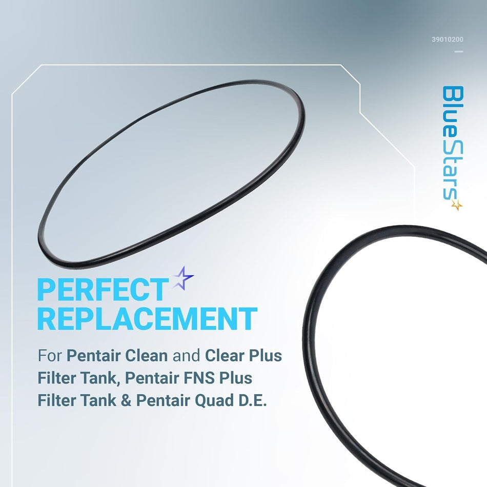 39010200 Tank Clamp O-Ring