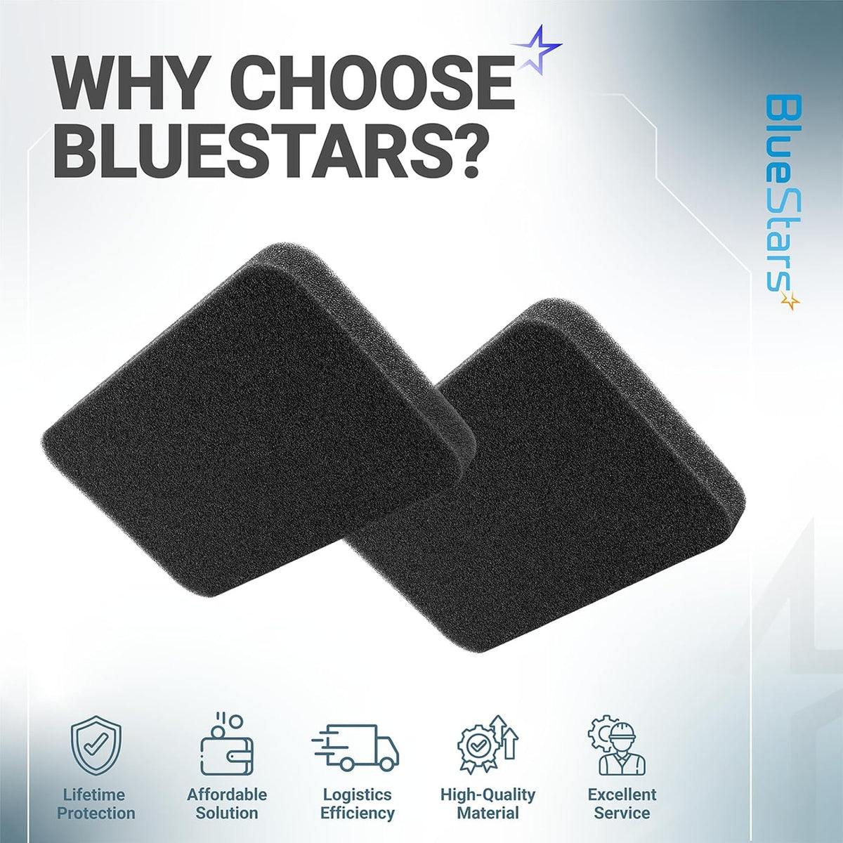 0454620/0453664 Air Filters, 2-pack, showing two black filters in a BlueStars quality graphic