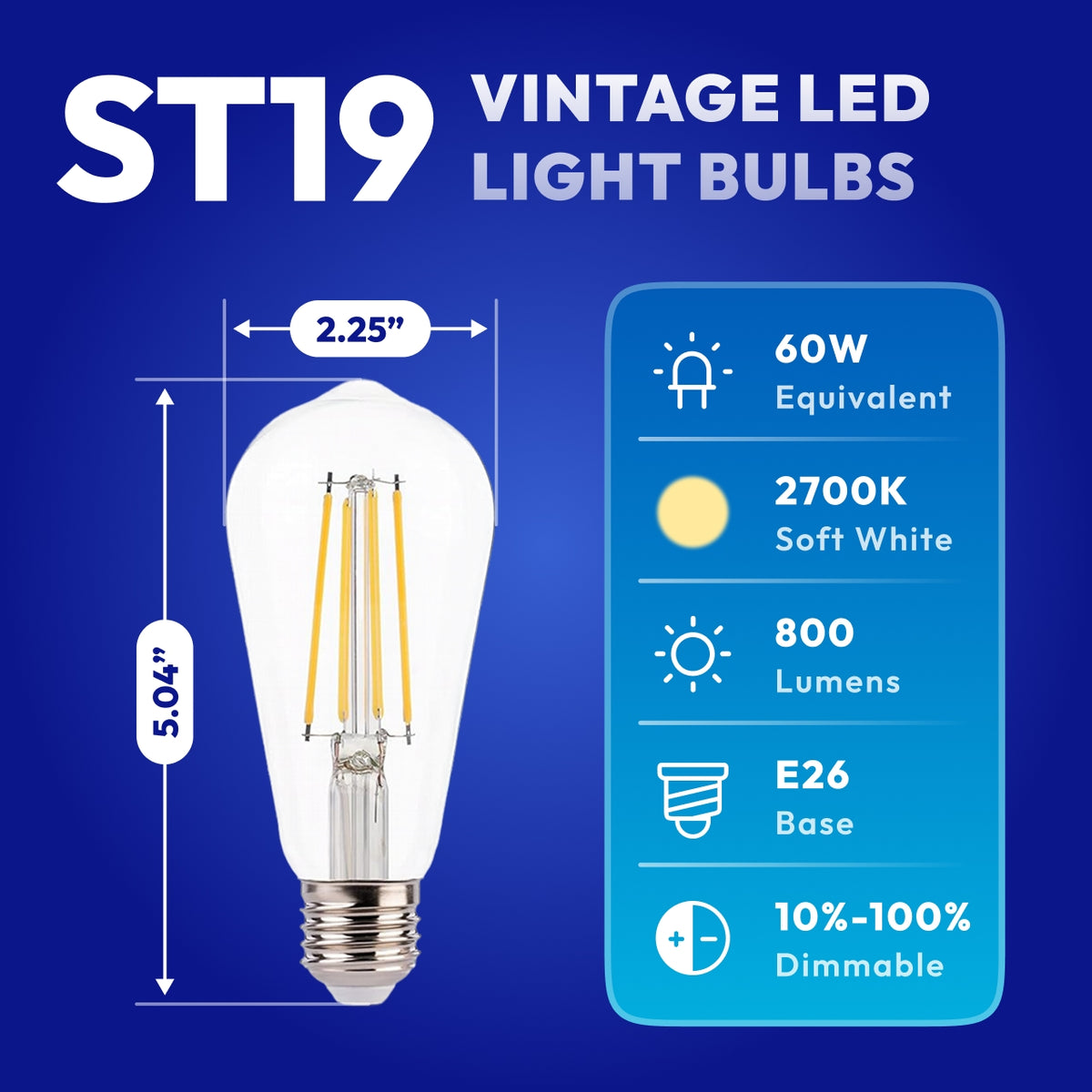 ST19 LED bulb specs infographic showing 60W equivalent 800 lumens and E26 base