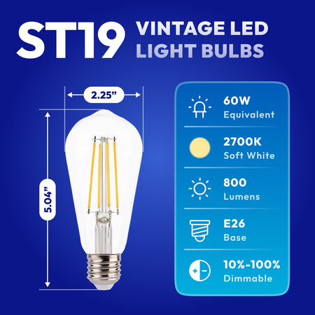 ST19 LED bulb specs infographic showing 60W equivalent 800 lumens and E26 base